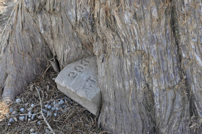 grave-marker-tree1