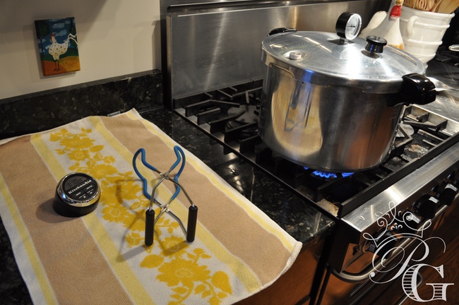 pressure-canning-stove