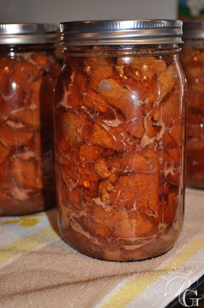 Pressure-canned-venison