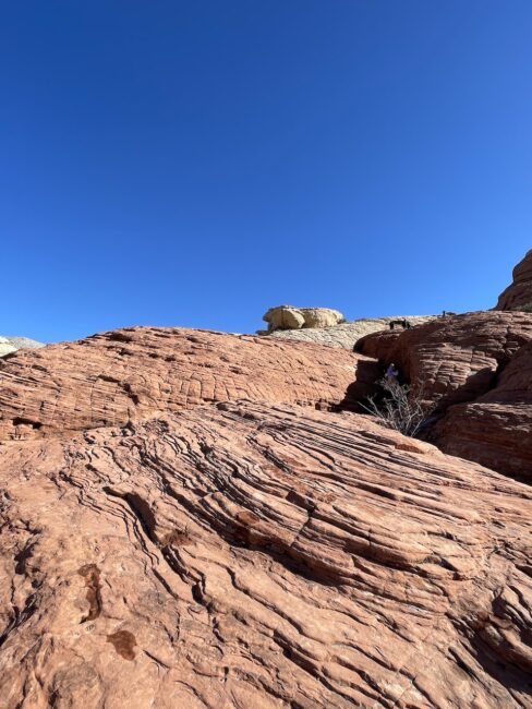 Red Rock Canyon