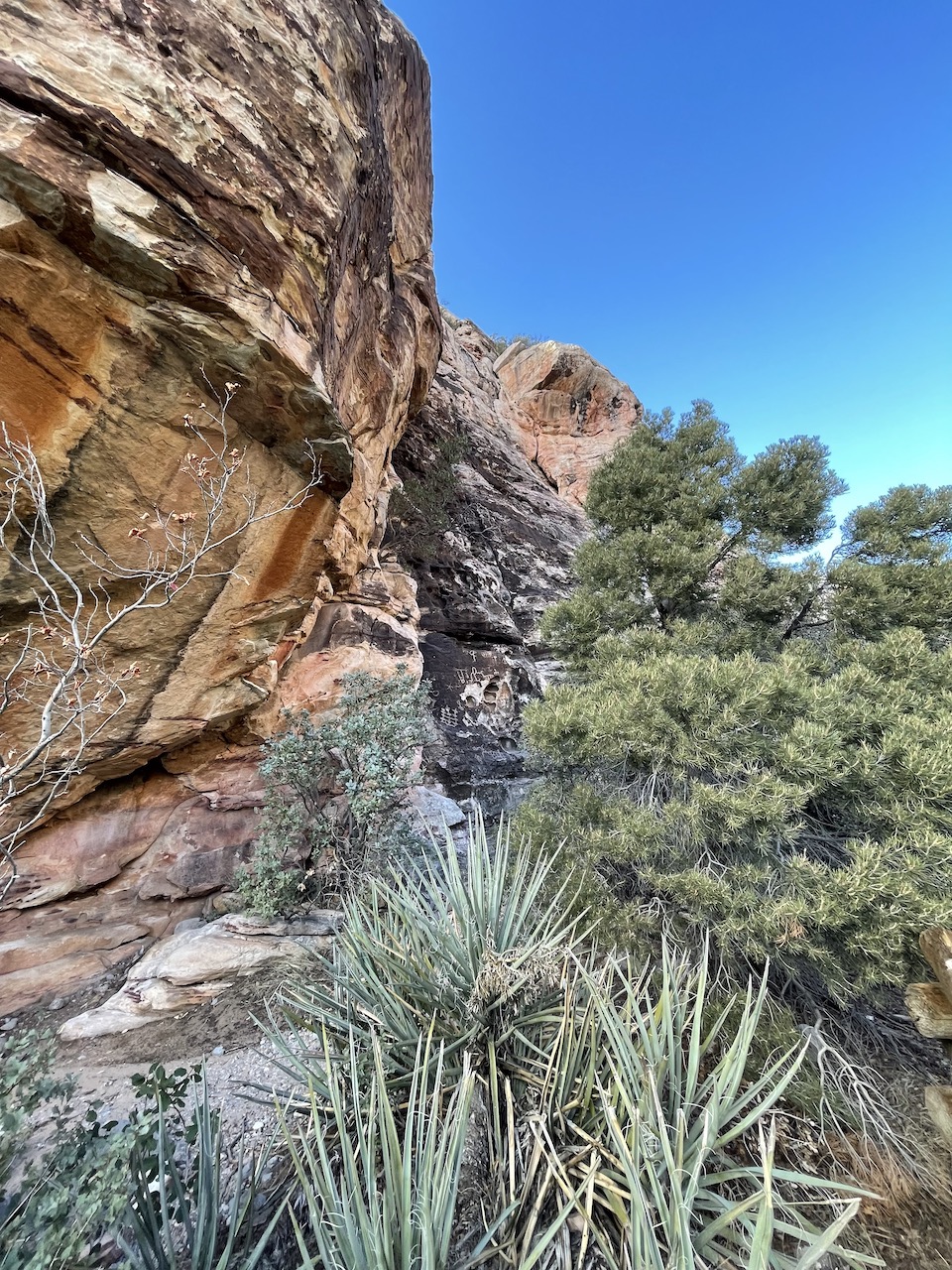 Red Rock Canyon